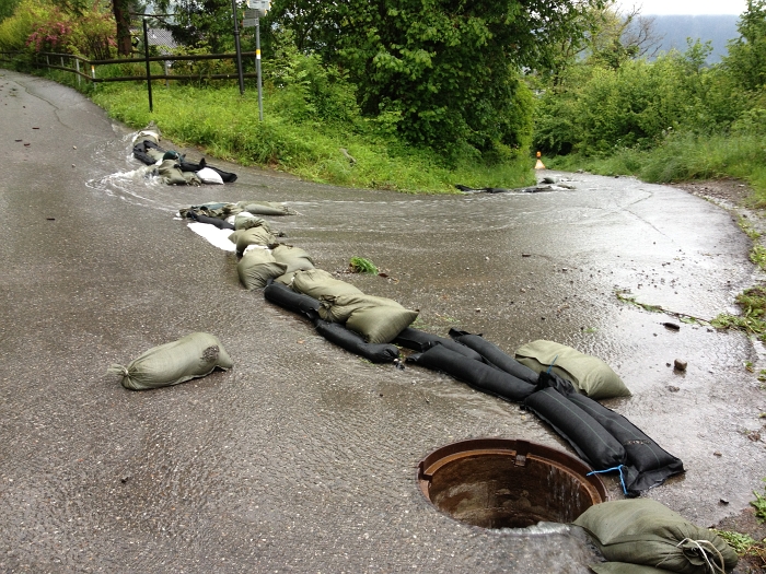 bild (23)